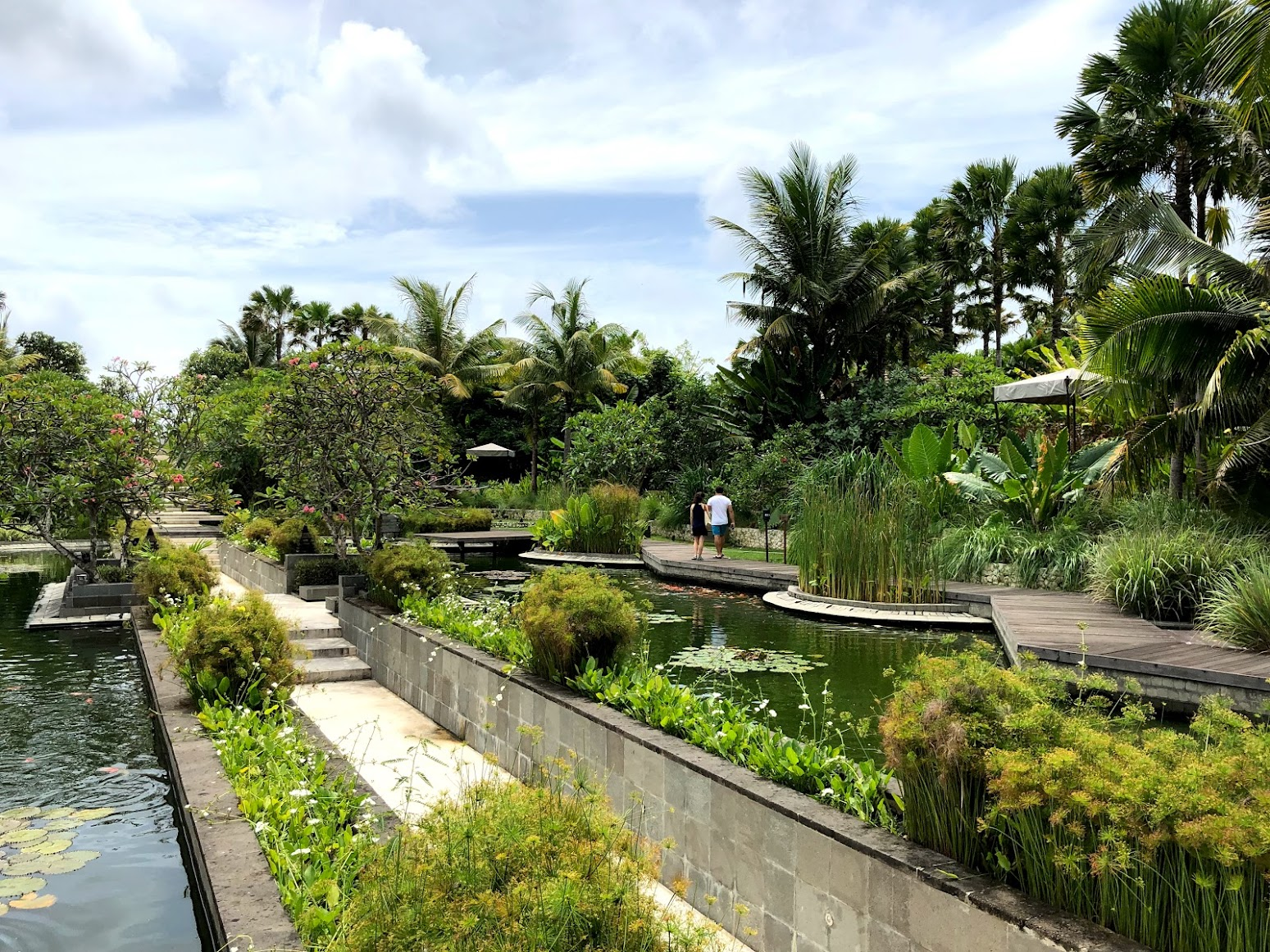 The lush resort gardens and walkways connecting the property